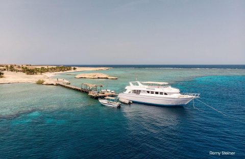 1-Egypte-Quseir-by-Remy-Steiner-housereef-daily-dive-boat-Ducks-Diving