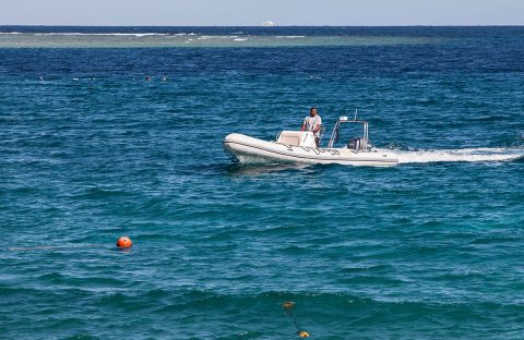 1_c6bo-voyages-plongee-egypte-abu-dabbab-sejour-diving-DE-center-dive-boat-zodiac