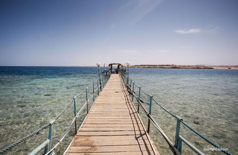 2-Egypte-Quseir-by-Remy-Steiner-housereef-Ducks-Diving