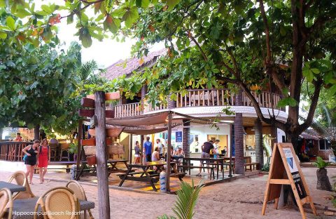 2-Malapascua-Devocean-Reception-diving-center-Diveshop-and-Beergarden-Media