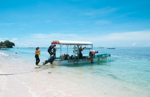 2-plongee-philippines-bohol-dive-center-Seaquest-dive-boat-bangka-beach-divers