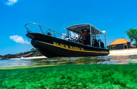 5_c6bo-voyages-plongee-indonesie-bali-dive-concept-black-mamba-III-boat