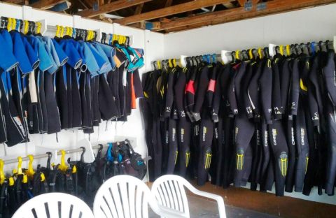 5_grand-bahama-dive-center_bahamas-materiels