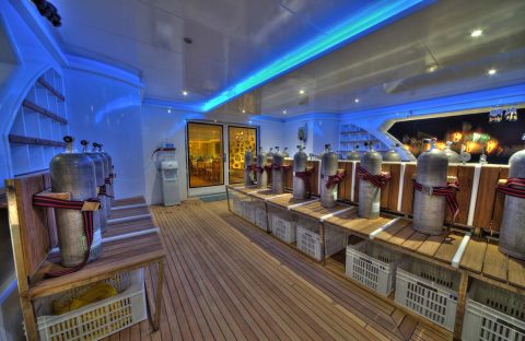 9.2_c6bo-voyage-plongee-egypte-croisieres-seafari-bateau-odyssey-divedeck