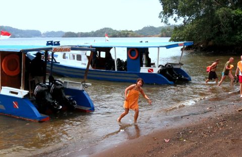 Guests-return-from-diving